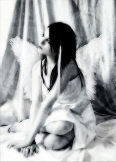 Belle image