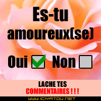 es-tu amoureux(se) ??